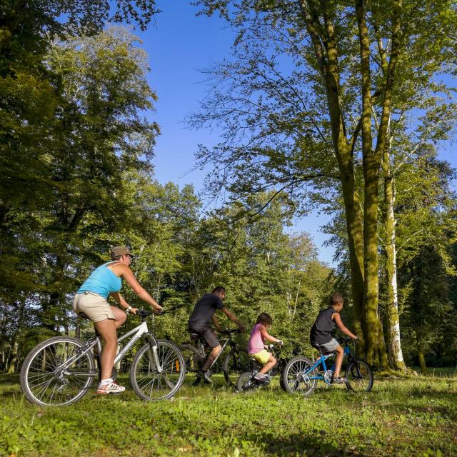 Promenade en famille à vélo à Lourdes