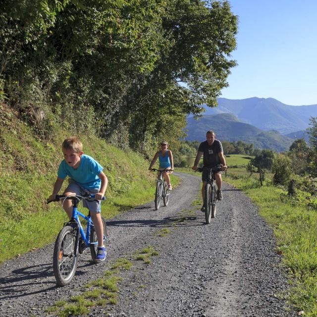 Balade en plein nature en VTT en famille à Lourdes