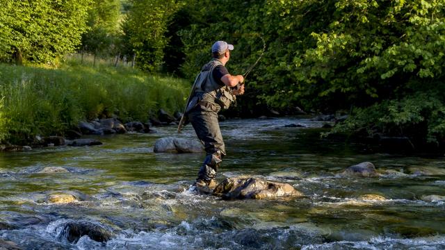 Pêche de la truite dans un gave des Pyrénées proche de Lourdes