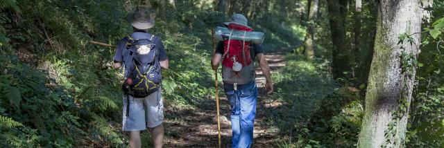 Randonneurs dans les sous-bois à Lourdes sur le chemin de Saint Jacques de Compostelle