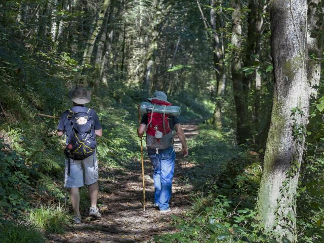 Randonneurs dans les sous-bois à Lourdes sur le chemin de Saint Jacques de Compostelle