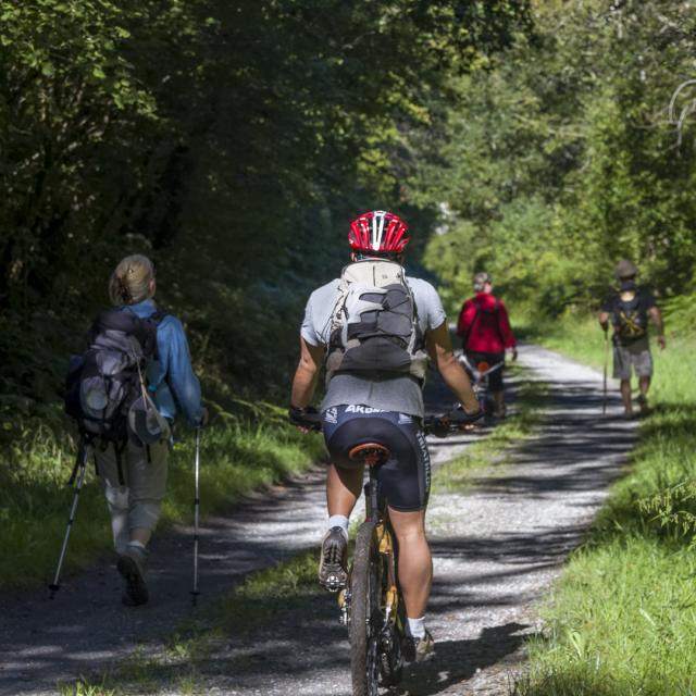 GR78 de Lourdes à Saint Jacques de Compostelle. Randonneurs et vététiste parcourant le chemin