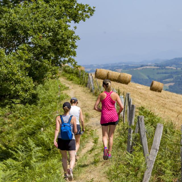 Balade sur les coteaux de Lourdes