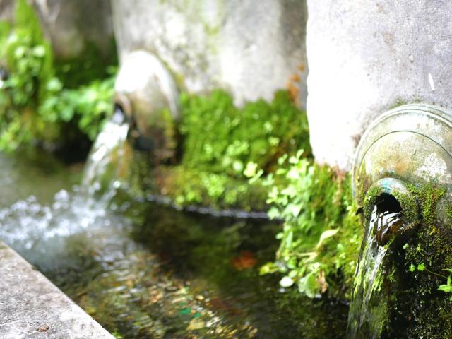 Fontaine des 3 becs à Lourdes