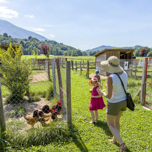 Ferme du Bon Air à Lourdes