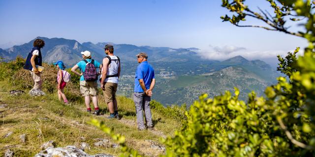 Découverte botanique au Pic du Jer à Lourdes