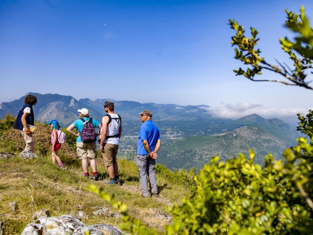 Découverte botanique au Pic du Jer à Lourdes