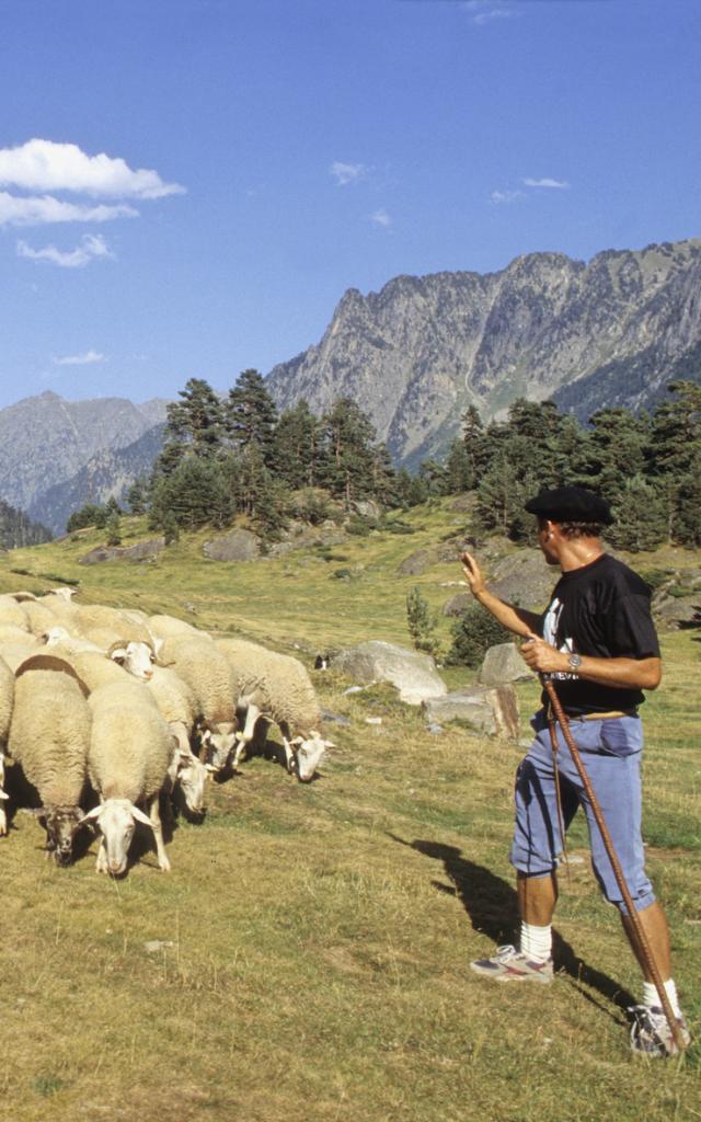 Berger transhumant dans la vallée du Marcadau à Cauterets