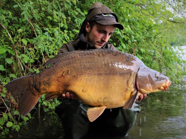 Pêche carpe 12kg