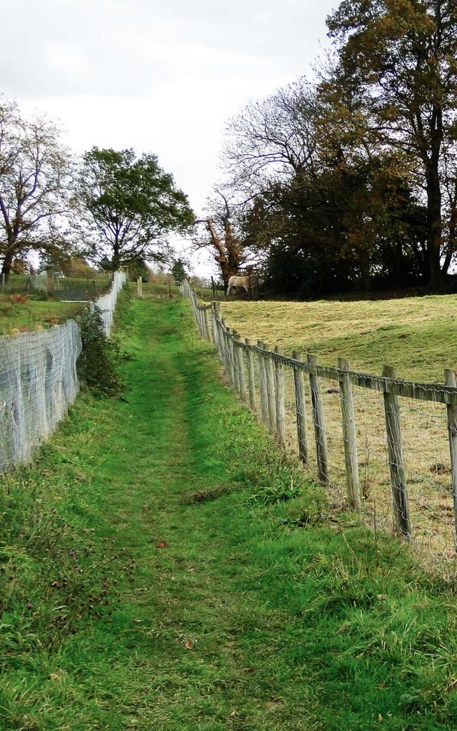 Chemin de Bernadette - Bartrès