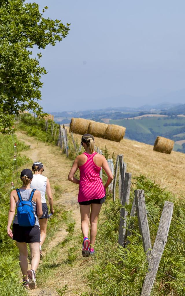 Course à pied et marcheurs sur le chemin Henri IV