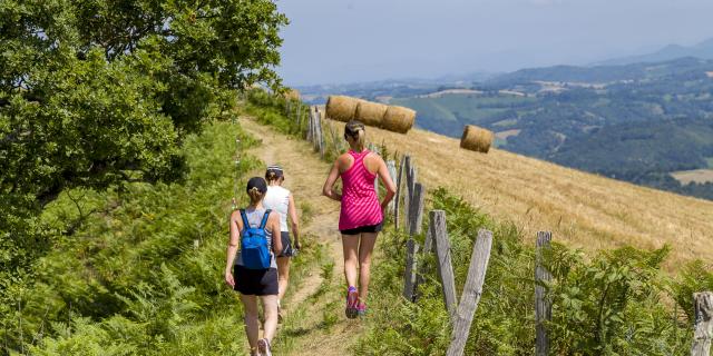 Course à pied et marcheurs sur le chemin Henri IV