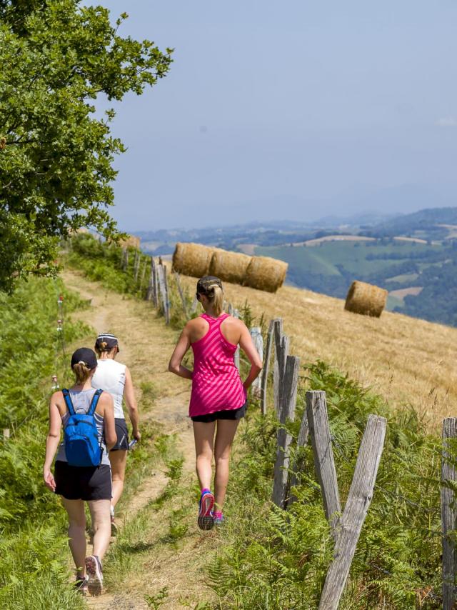 Course à pied et marcheurs sur le chemin Henri IV