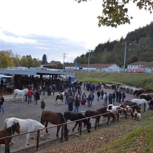 Foire aux chevaux