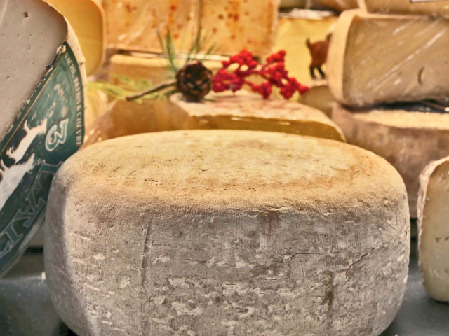 Tomme des Pyrénées - Fromage de vache aux halles de Lourdes