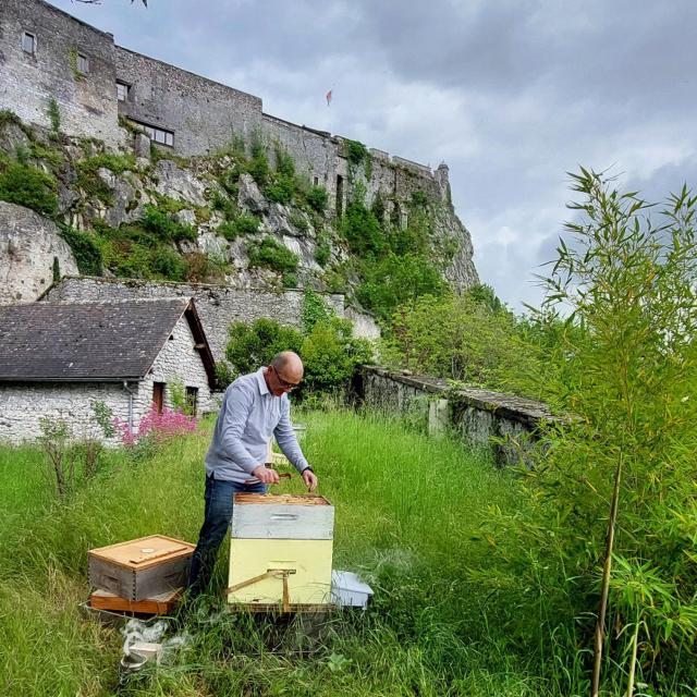 Apiculteur au château fort de Lourdes