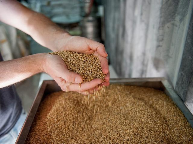 Malt Preparation Biere