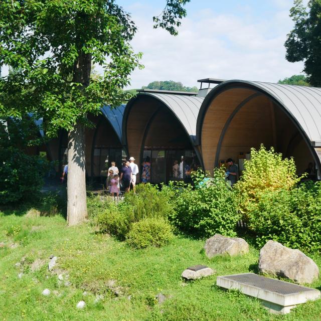 Chapelles Des Lumieres Otlourdes