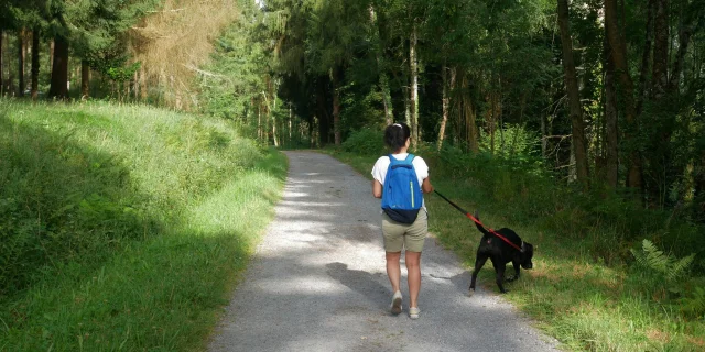 Balade Bord Du Lac De Lourdes Avec Son Chien Otlourdes Juillet2024