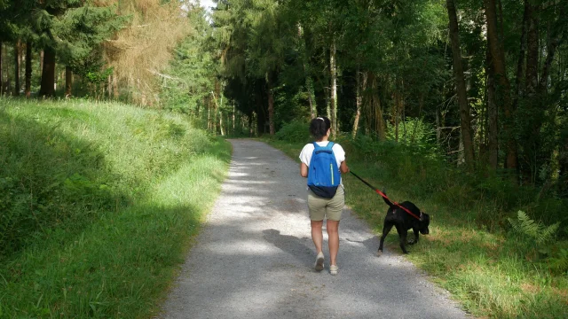 Balade Bord Du Lac De Lourdes Avec Son Chien Otlourdes Juillet2024