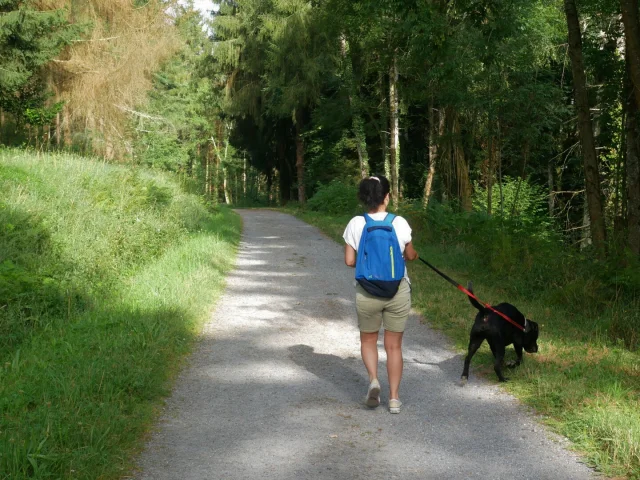 Balade Bord Du Lac De Lourdes Avec Son Chien Otlourdes Juillet2024