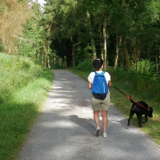 Balade Bord Du Lac De Lourdes Avec Son Chien Otlourdes Juillet2024